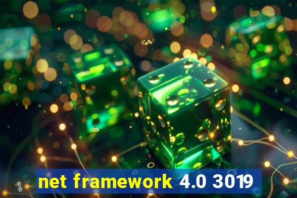 net framework 4.0 3019